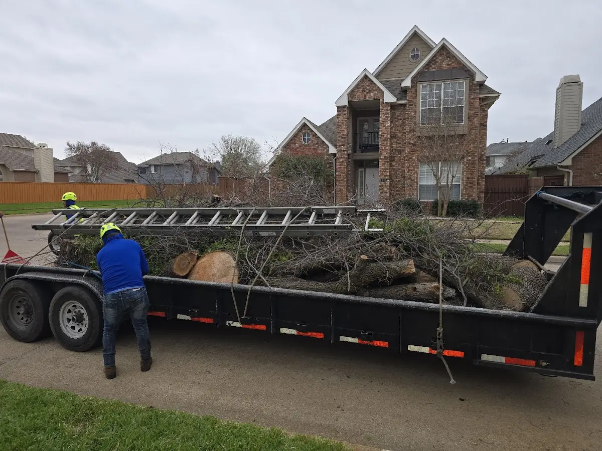 Expert Tree Fertilization with proper safety equipment in Brandamore